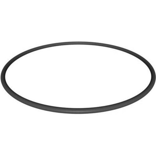 Hayward CX900F Starclear Plus LID O-Ring 1