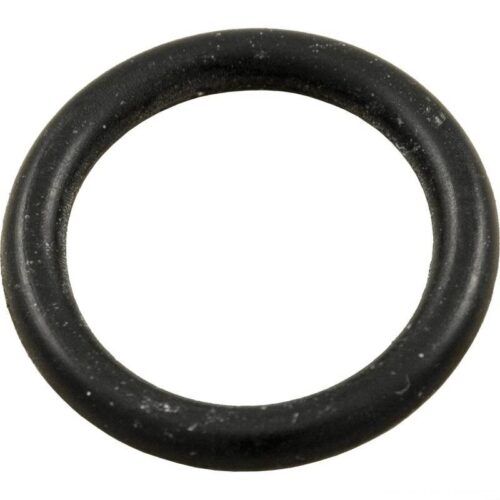 Hayward CX900H StarClear Plus Knob O-Ring 1