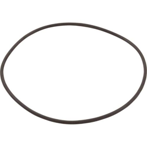 Hayward CXFHR1001 SwimClear LID O-Ring 1
