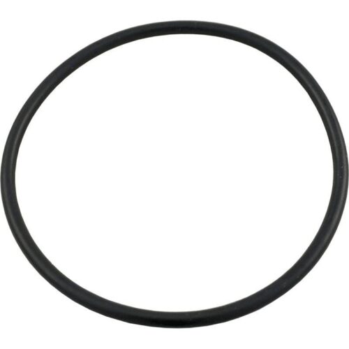 Hayward DEX2400Z5 SwimClear Outlet Elbow O-Ring 1