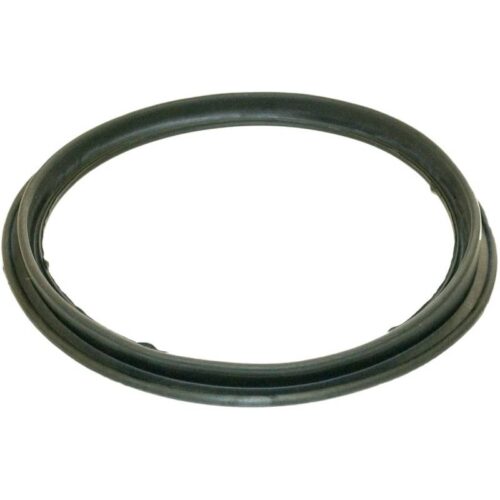 Hayward ECX1105 Perflex Diaphragm Gasket 1