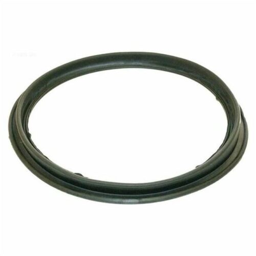 Hayward ECX1287 Perflex DE O-Ring For Gauge Adapter 1