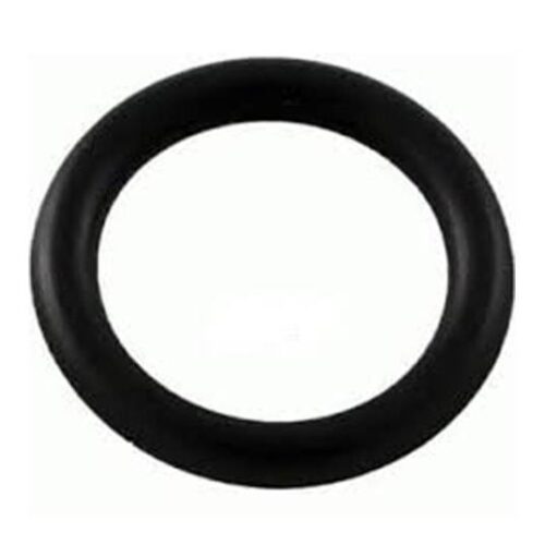 Hayward ECX2899A PerFlex Bump Shaft O-Ring 1
