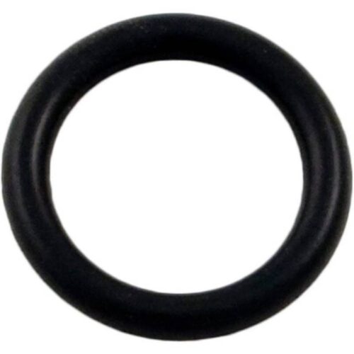 Hayward SPX0605Z2V Viton Drain Plug O-Ring