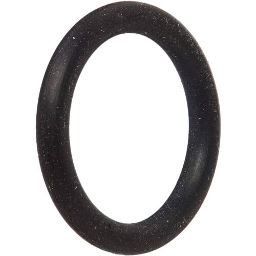 Hayward SX200Z5 AIR Relief Valve O-Ring 1