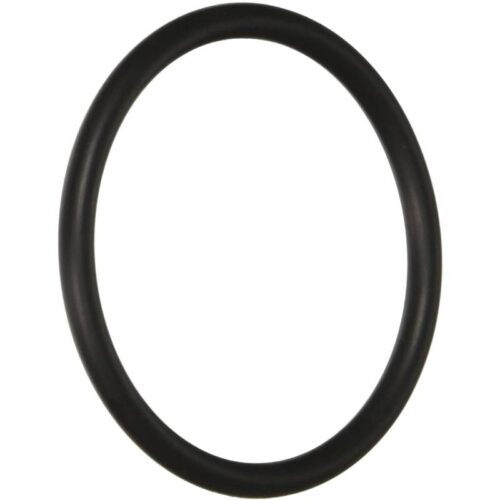 Hayward SX220Z2 SwimClear/ PROGRID Bulkhead O-Ring 1