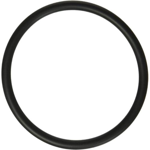 Hayward SX360Z1 Microclear/ PRO Series Bulkhead O-Ring 1