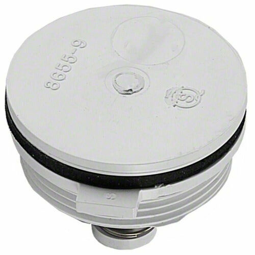 Pentair 07017-0151 1.5" Relief Valve