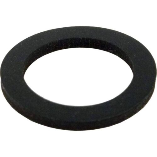 Pentair 070952 SM/SMBW 2000 AIR Relief Fitting LID Gasket 1