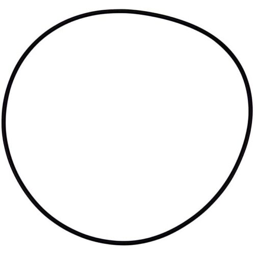 Pentair 071445 WhisperFlo Seal Plate O-Ring (Before 6/1994)