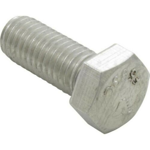 Pentair 071687 EQ & C-Series SS Hex Head Bolt