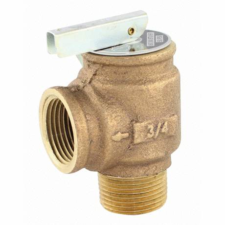 Pentair 072138 .75" #50 Minimax Relief Valve 1