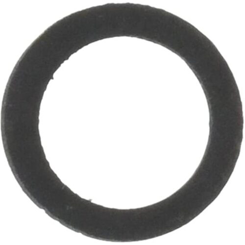 Pentair 074629 WhisperFlo Drain Flat Washer Gasket