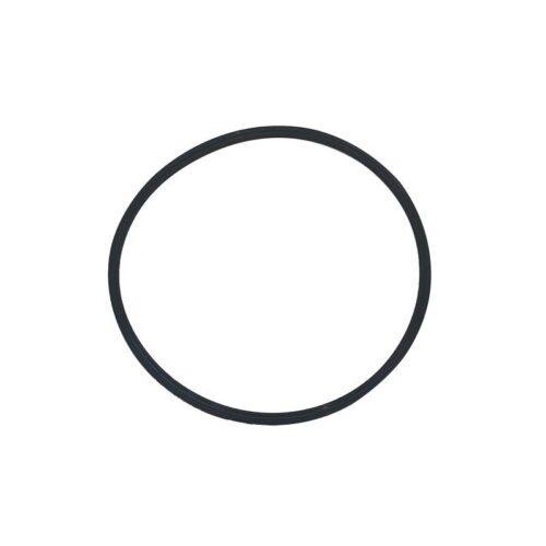Pentair 152516 Buttress Thread Triton II Closure O-Ring
