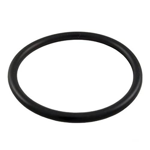 Pentair 154491 BULKHEAD O-Ring1