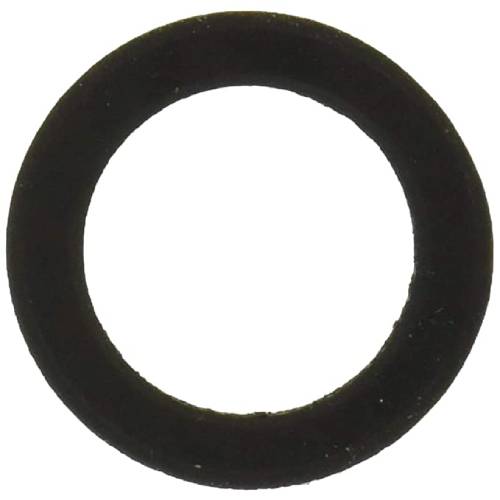 Pentair 154713 Sand Dollar Sand Filter Sand Drain Gasket1