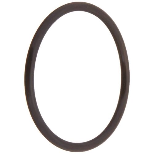 Pentair 155064 1/8" x 1-7/8" Standup O-Ring 1