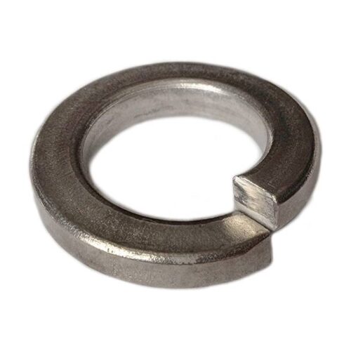 Pentair 174955Z 5_16 SS Lock Washer