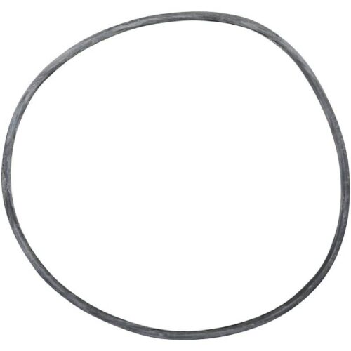 Pentair 24850-0008 21" System:3 Tank O-Ring 1