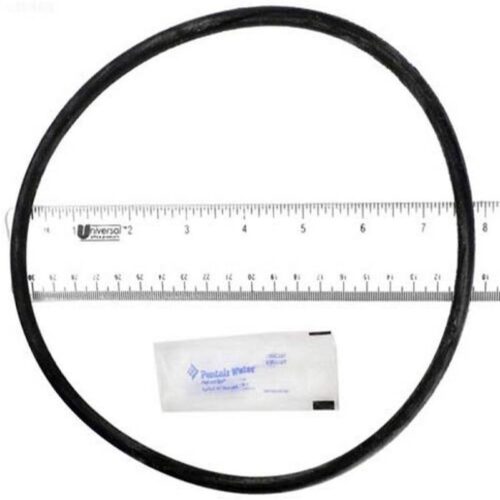 Pentair 25200-0011S PRC Series Filter Tank O-Ring With Silicone Lube
