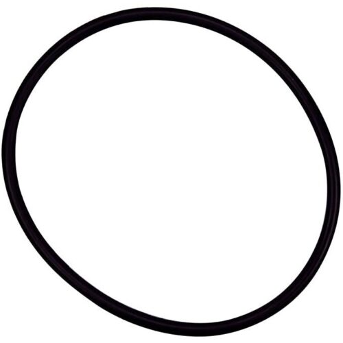 Pentair 350037 EQ Series Diffuser O-Ring