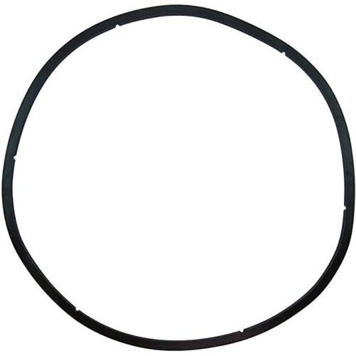 Pentair 350166 EQ Series Strainer Lid Gasket
