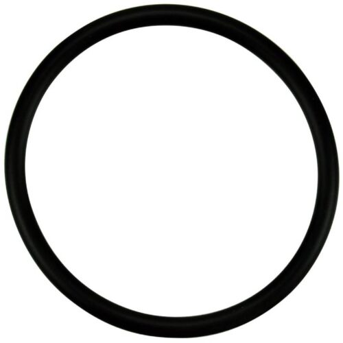 Pentair 350336 WhisperFlo XF Diffuser O-Ring
