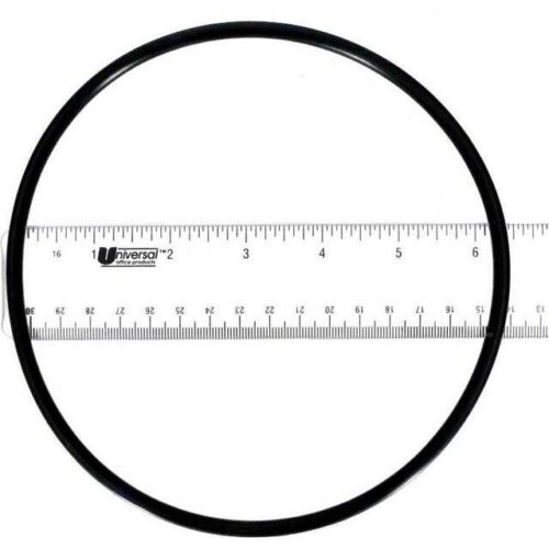 Pentair 354634 Dynamo Seal Plate O-Ring