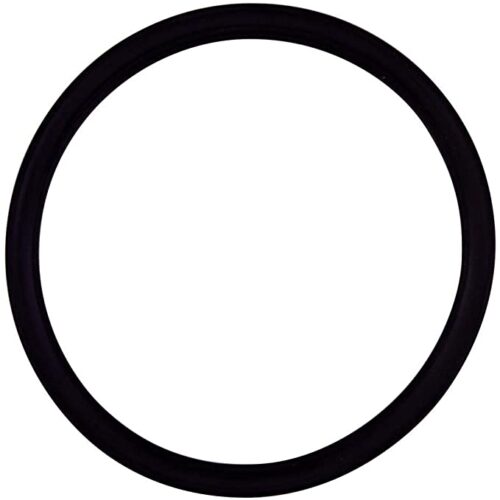 Pentair 355030Z Challenger/SuperFlo/SuperMax Diffuser O-Ring