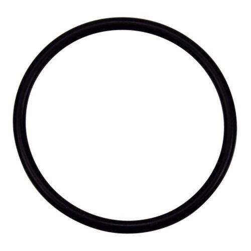 Pentair 35505-1428 SYSTEM 3 Large Bulkhead_Elbow O-Ring