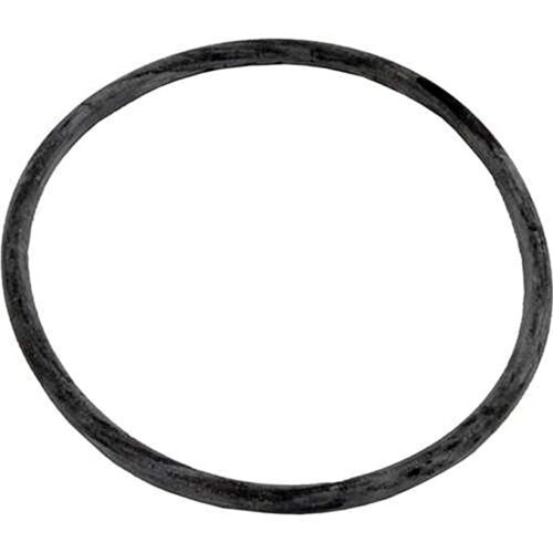 Pentair 35505-1437 ABG Series AG Trap Lid O-Ring
