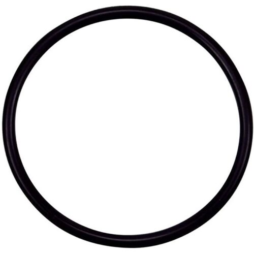 Pentair 355330 Tagelus/Challenger Strainer Pot Flange O-Ring
