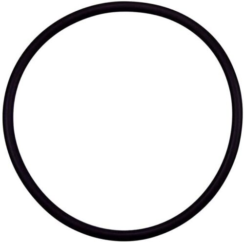 Pentair 355331Z Challenger Diffuser O-Ring