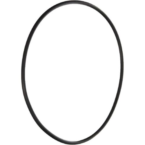 Pentair 355619Z Pinnacle/SuperFlo Seal Plate O-Ring