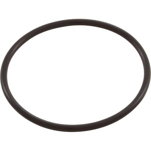 Pentair 39006600 Ultra-Flow Diffuser Gasket