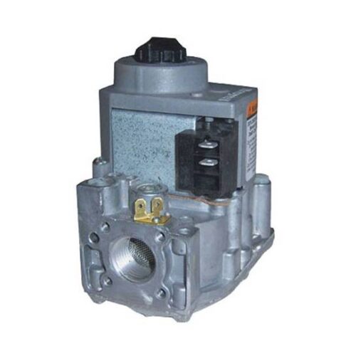 Pentair 471088 Minimax NG DSI 75/100 Gas Valve With Bracket 2