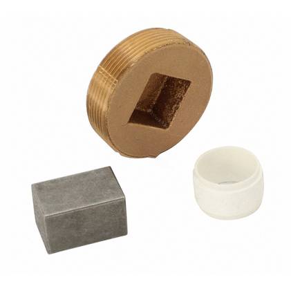 Pentair 472648Z ASME MasterTemp Bypass Access Plug 1