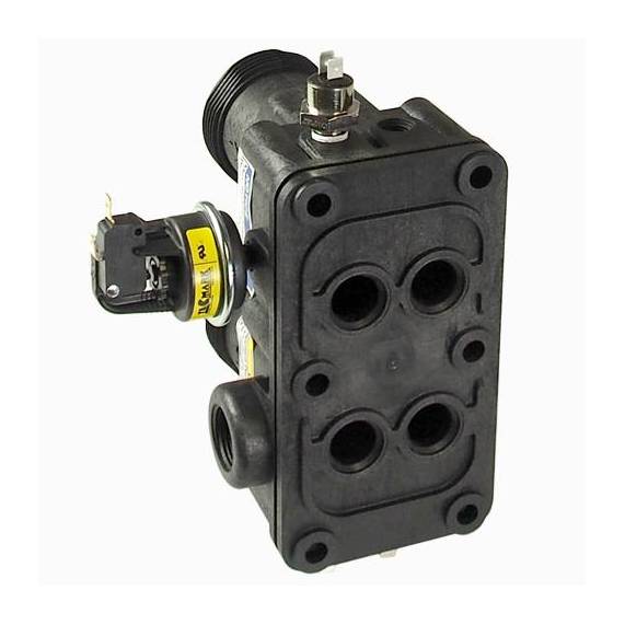 Pentair 474972 MasterTemp 125 Manifold Kit 4