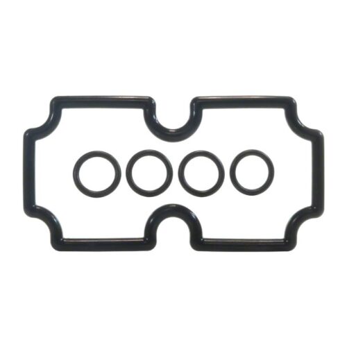 Pentair 474973 MasterTemp 125 Coil/Tube Sheet O-Ring Kit 1