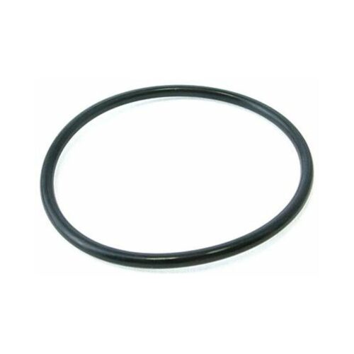 Pentair 52000500 METEOR 30 Clamp O-Ring