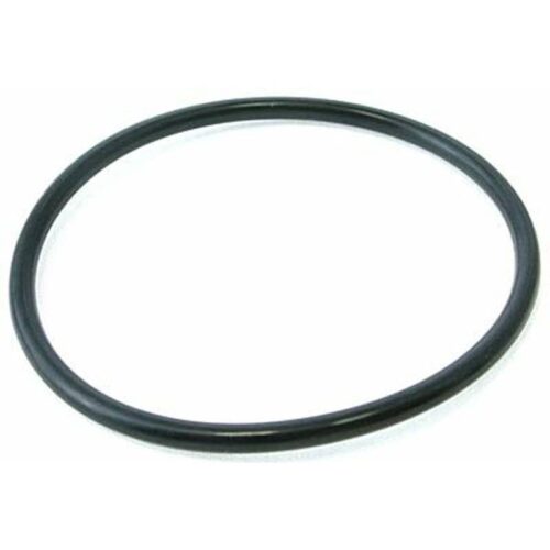 Pentair 59000600 FNS Plus Stand Pipe O-Ring