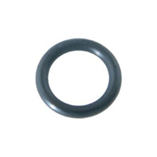 Pentair 6020006 Slide Valve Shaft O-Ring1