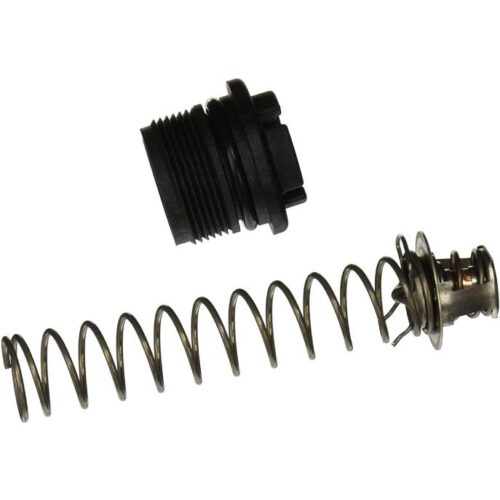 Pentair 77707-0010 Max-E-Therm Thermal Regulator Kit 1