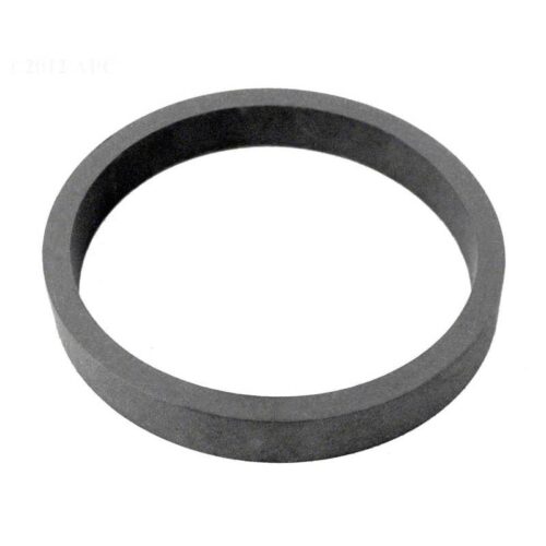 Pentair C21-2 D-Series Diffuser O-Ring