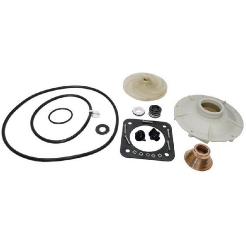 Pentair PP1016 1HP PE/P2R 1.5HP PEA/P2RA Overhaul Kit