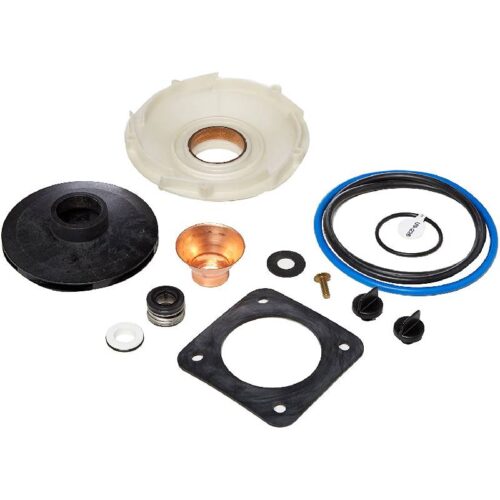 Pentair PP1017 Kit 2HP PE/P2R/PR 2.5HP PEA/P2RA/PRA Overhaul Kit