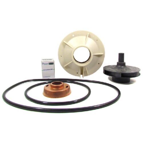 Pentair PP4014 3HP P4E/P4T Overhaul Kit