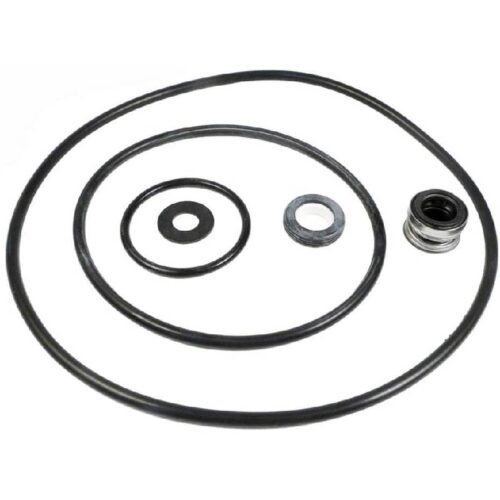 Pentair PP4200 P4E/P4R Seal & Gasket Kit (After 1997)