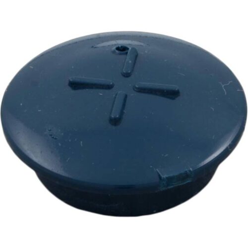 Pentair R172014 Blue Cartridge Plug 1