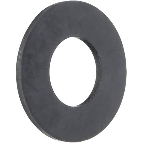 Pentair R172015 Neo Module Filter Gasket1